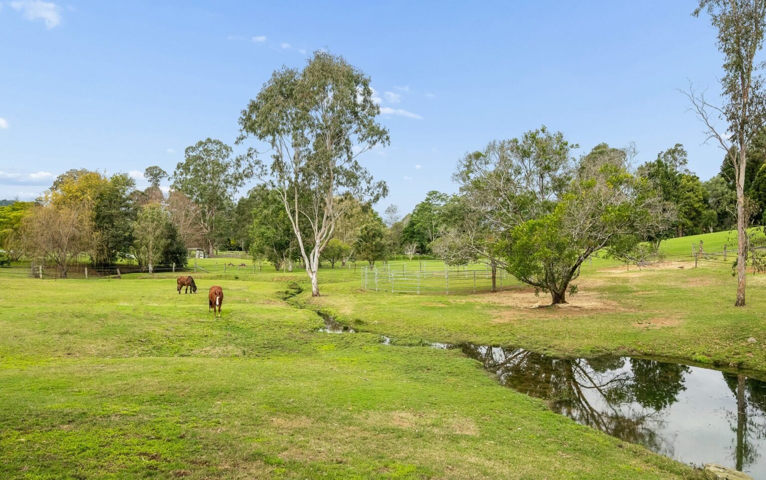 22 Toby Court, Dayboro, photo 18