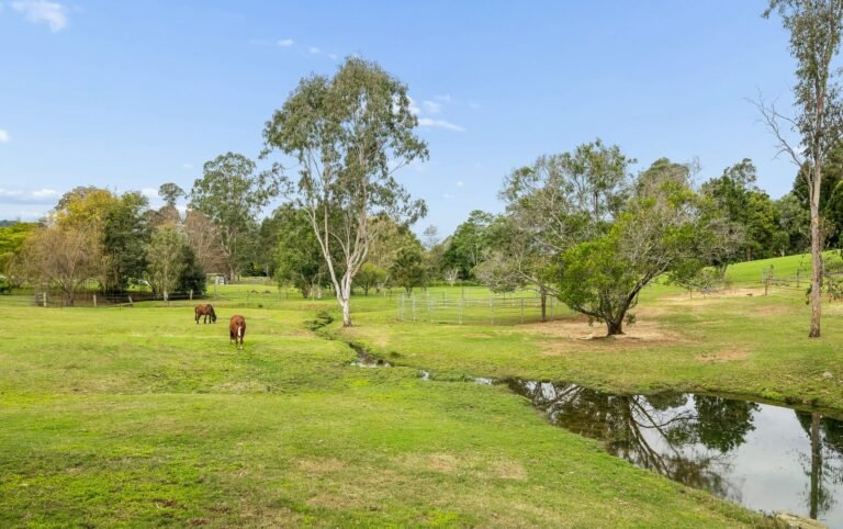 22 Toby Court, Dayboro, photo 18