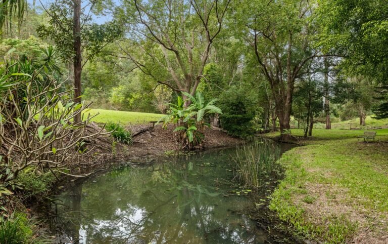 3 Willowie Lane, Dayboro, photo 28