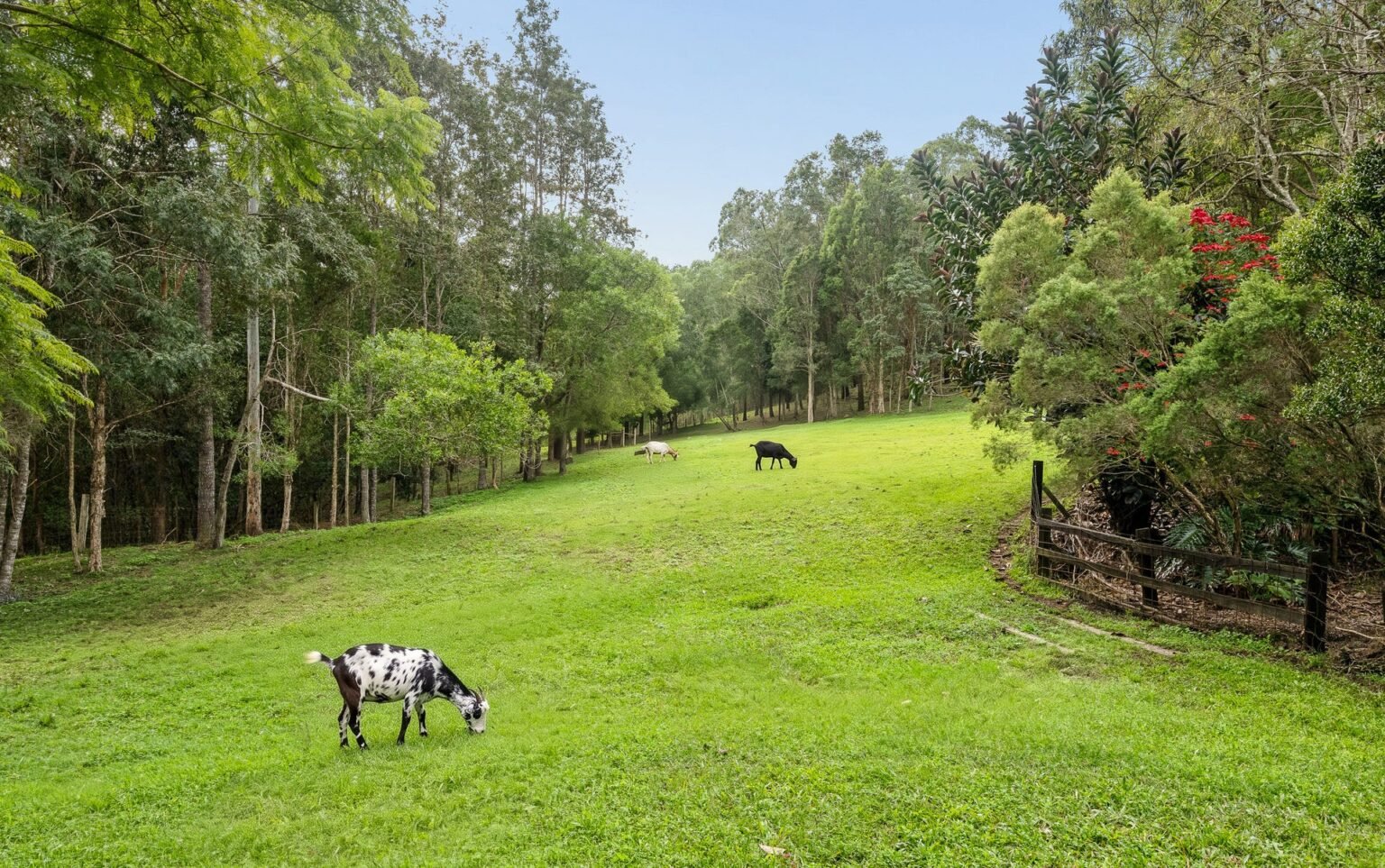 3 Willowie Lane, Dayboro, photo 30