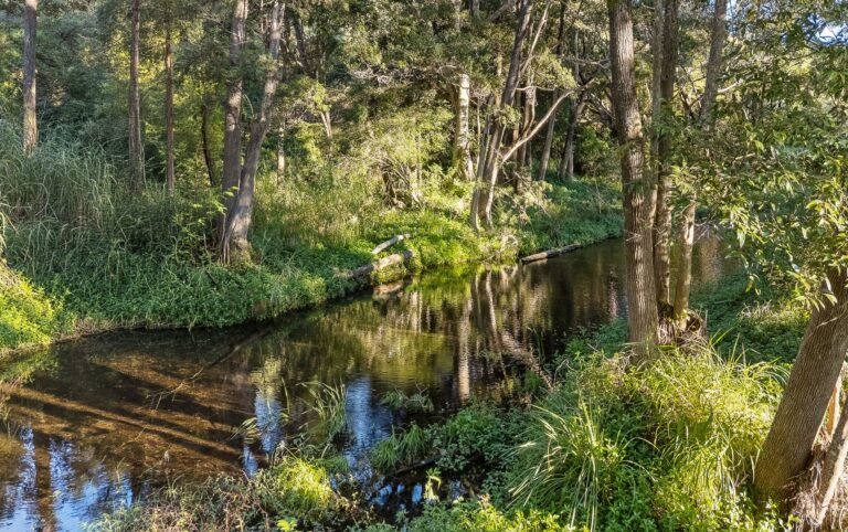 763 Laceys Creek Road, Laceys Creek, photo 12