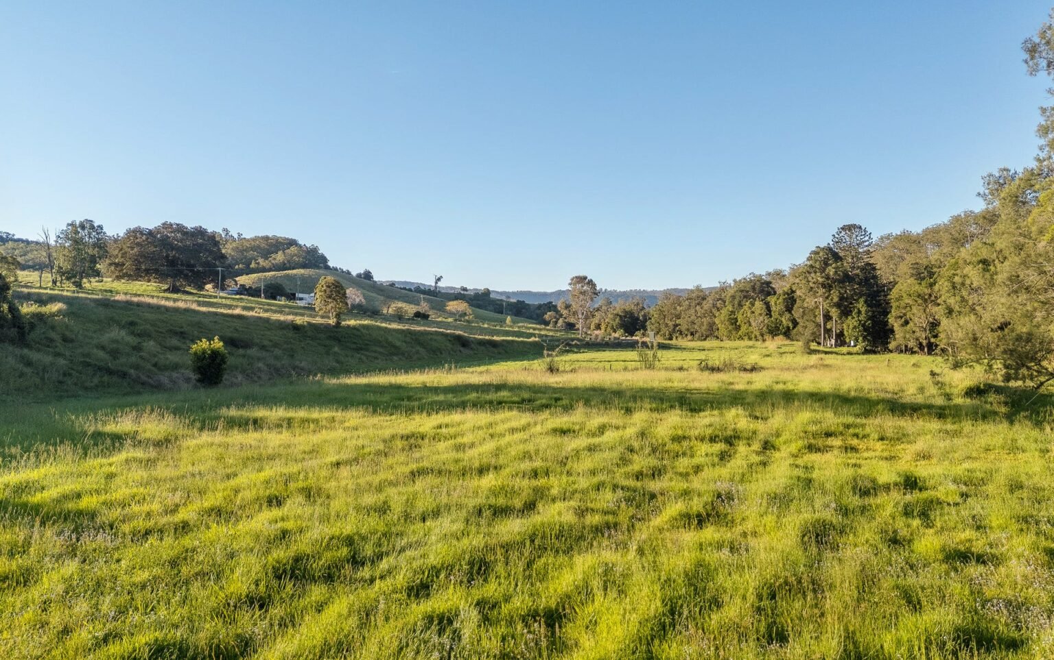 763 Laceys Creek Road, Laceys Creek, photo 14