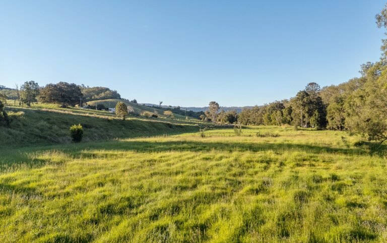 763 Laceys Creek Road, Laceys Creek, photo 14