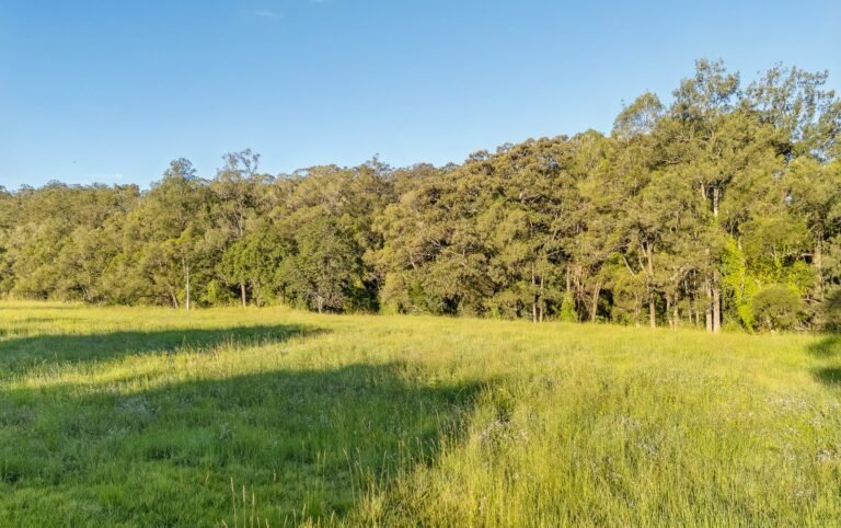 763 Laceys Creek Road, Laceys Creek, photo 29