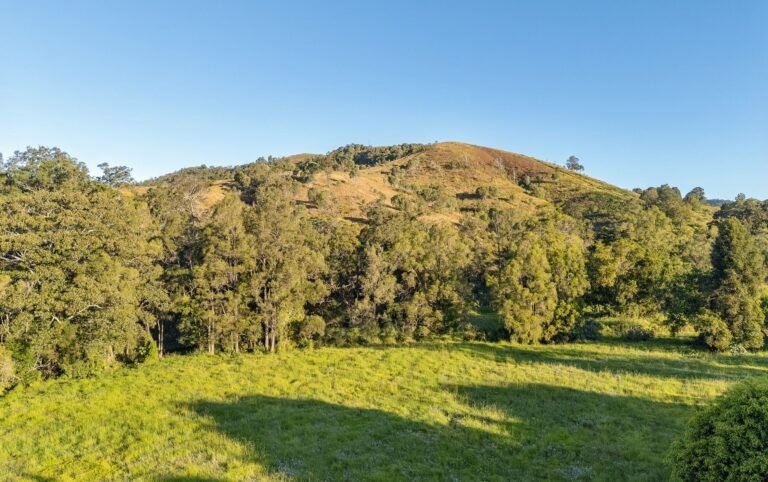 763 Laceys Creek Road, Laceys Creek, photo 30